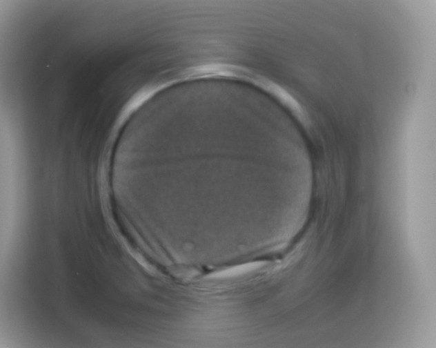 X0000113031373200910081211