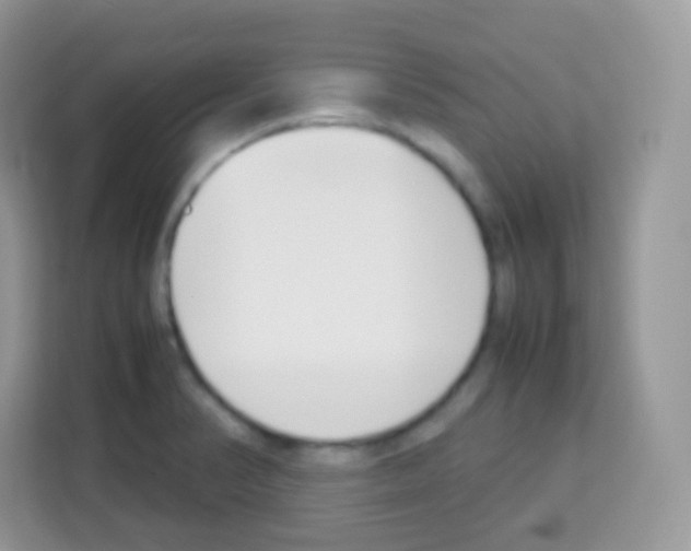 X0000113031374200910081211