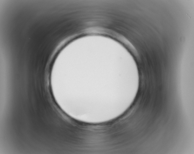 X0000113031376200910081211