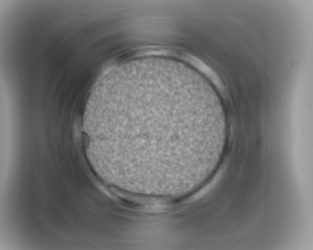 X0000113031377200910081211