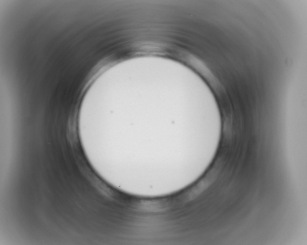 X0000113031378200910081211