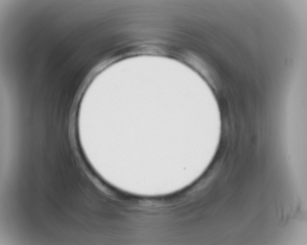 X0000113031379200910081211