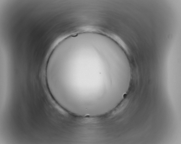 X0000113031381200910081211