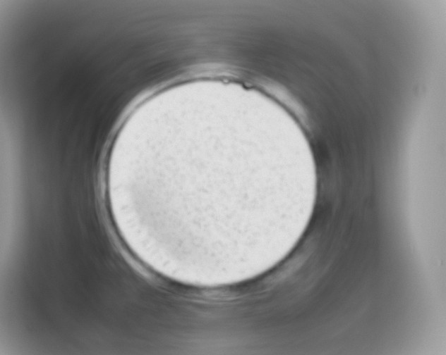 X0000113031383200910081211