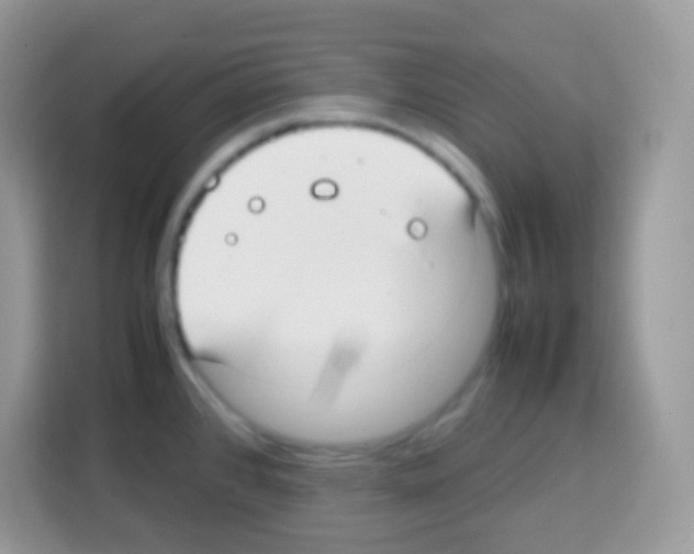 X0000113031384200910081211