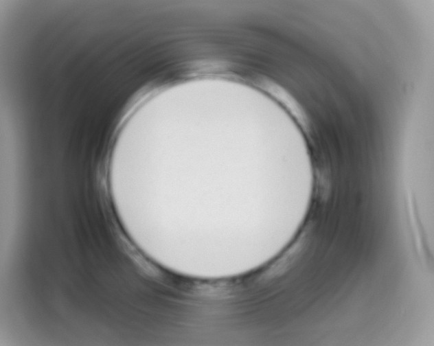 X0000113031386200910081211