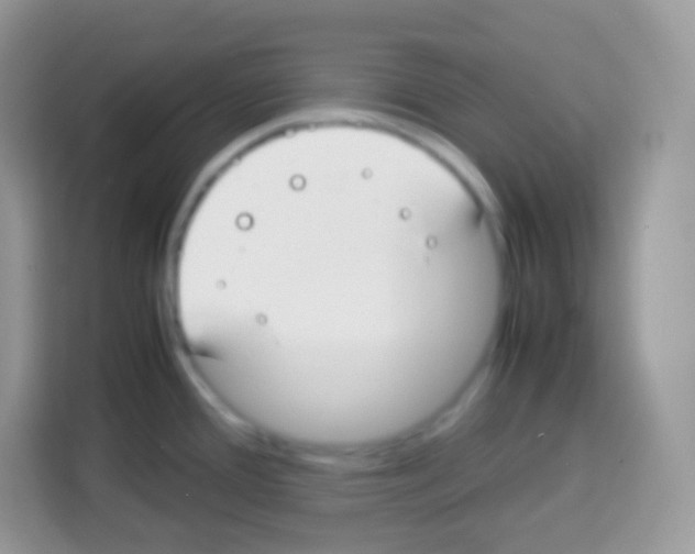 X0000113031388200910081211