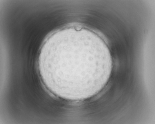 X0000113031390200910081211