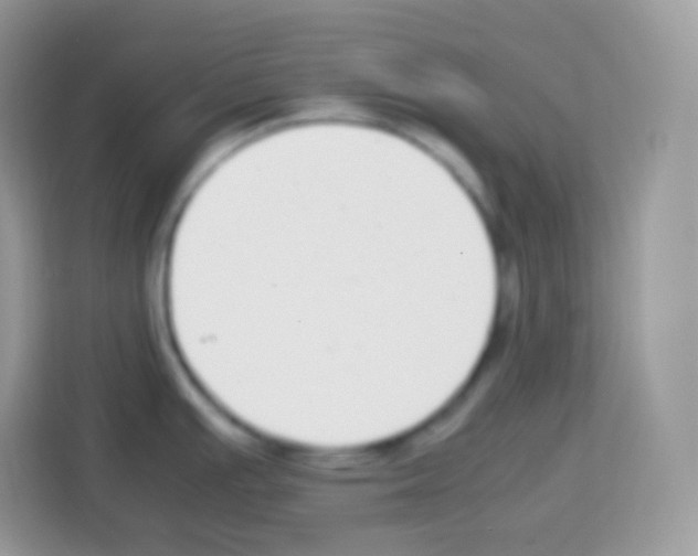 X0000113031391200910081211