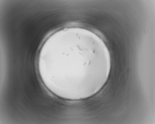 X0000113031392200910081211