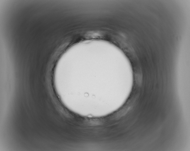 X0000113031393200910081210