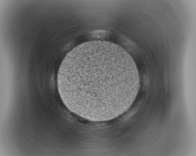 X0000113031394200910081210