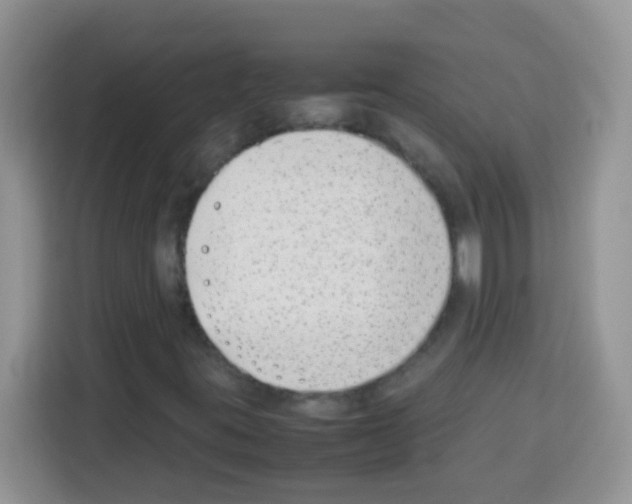 X0000113031395200910081210