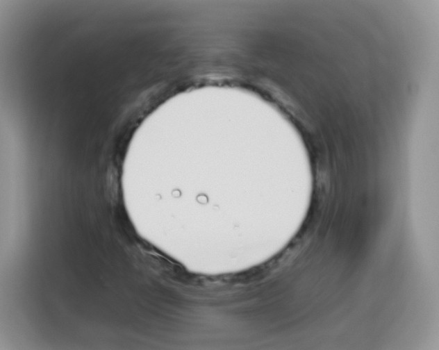 X0000113031398200910081210