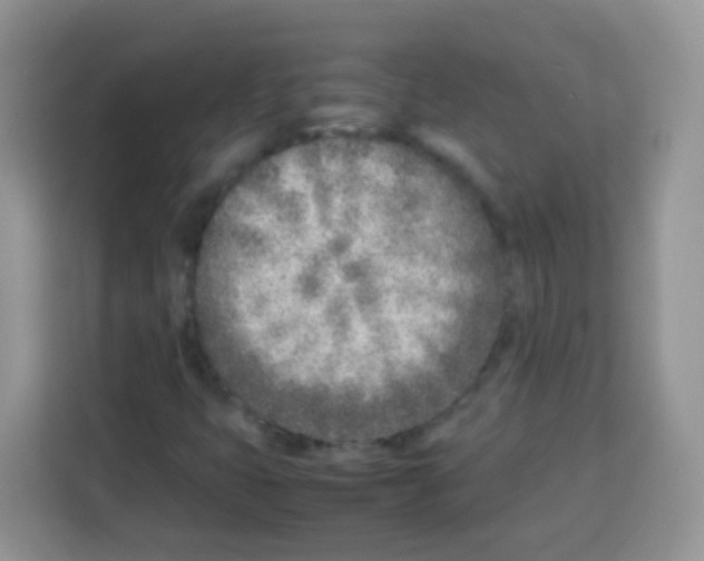 X0000113031399200910081211