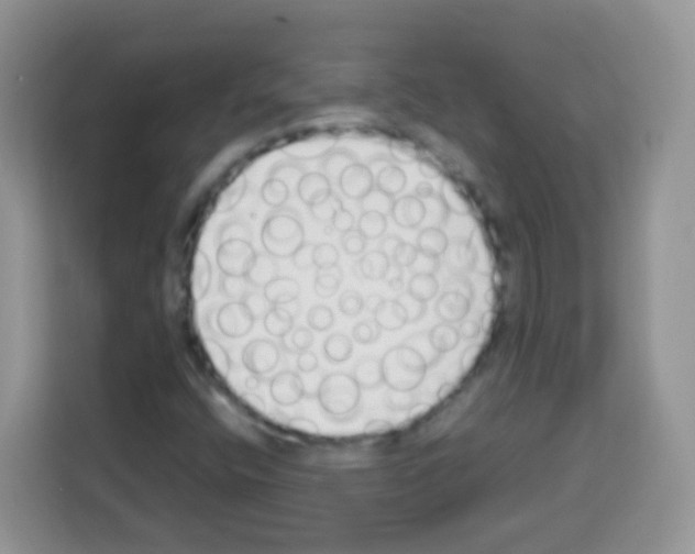 X0000113031400200910081211