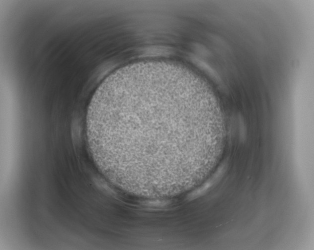 X0000113031401200910081211