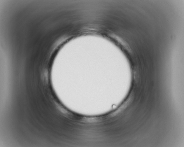 X0000113031402200910081211