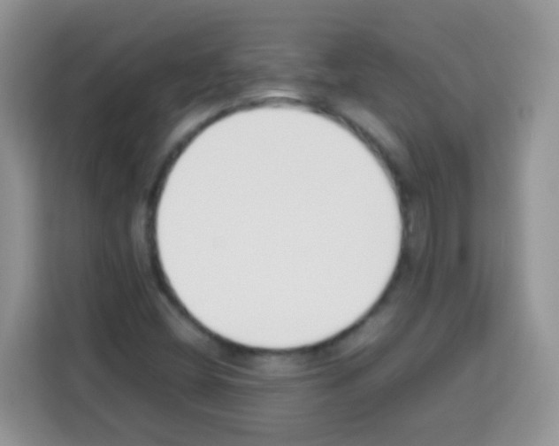 X0000113031404200910081211