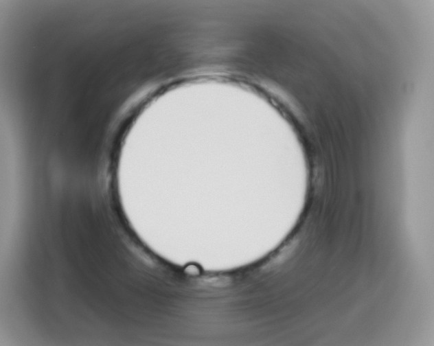 X0000113031406200910081211