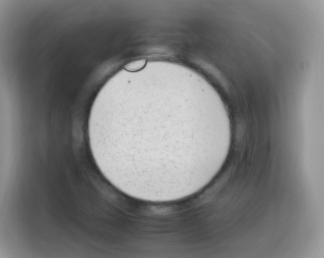 X0000113031407200910081211