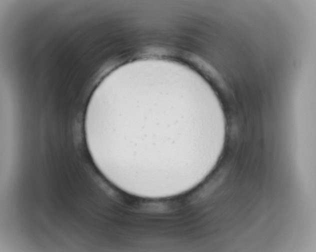 X0000113031409200910081211