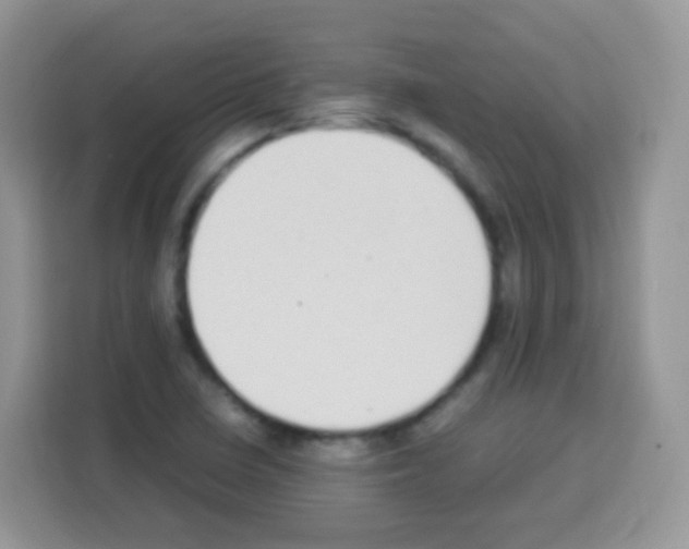 X0000113031410200910081211