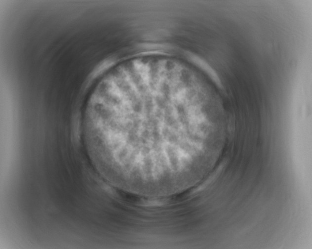 X0000113031411200910081211