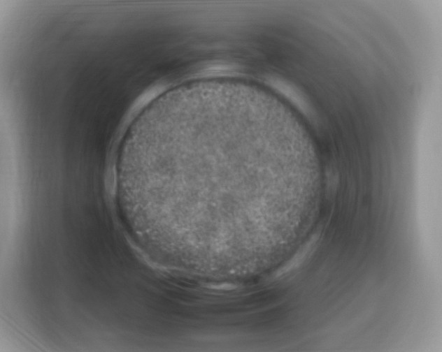 X0000113031413200910081211