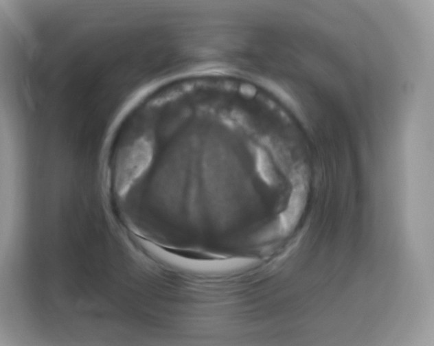 X0000113031414200910081211