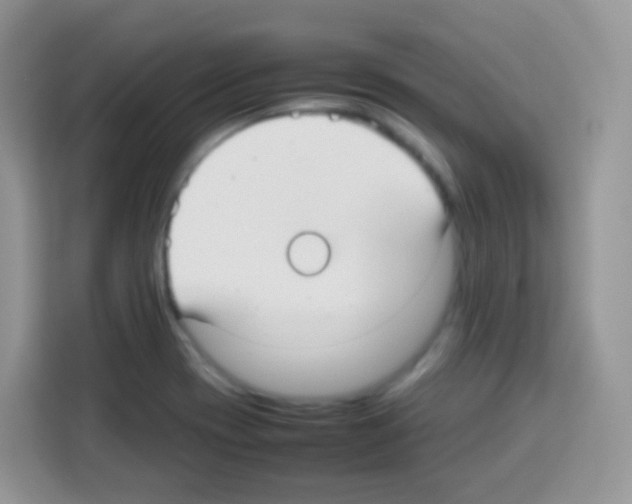 X0000113031417200910081211