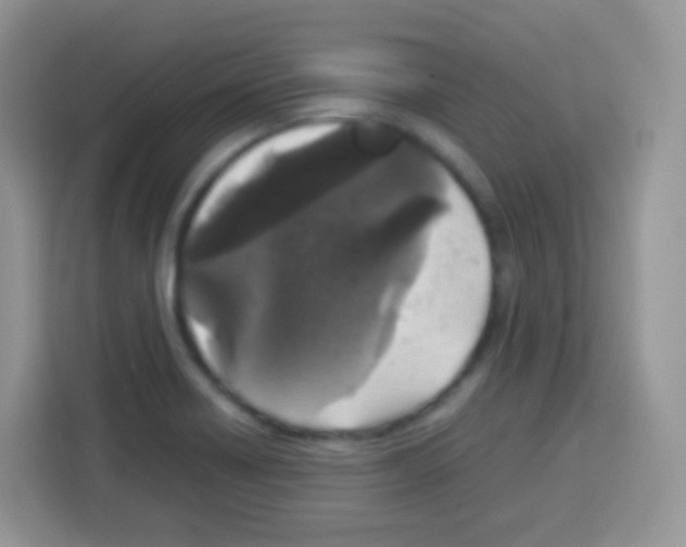 X0000113031418200910081211