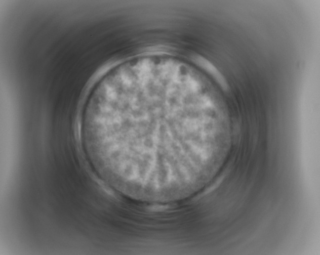 X0000113031419200910081211