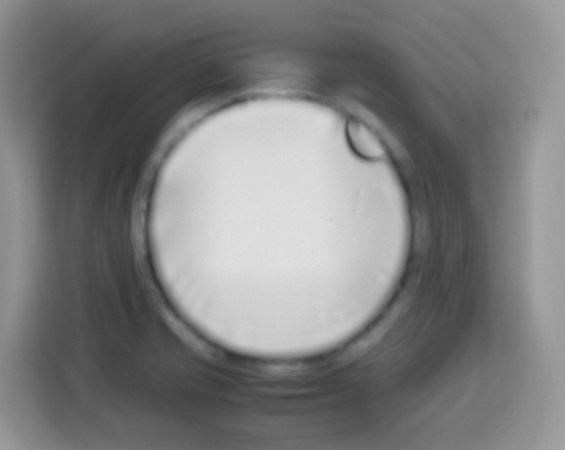 X0000113031421200910081211