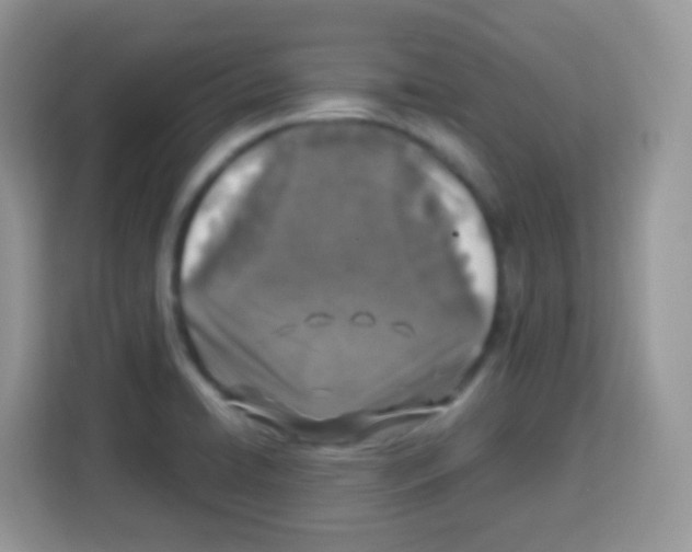 X0000113031422200910081211