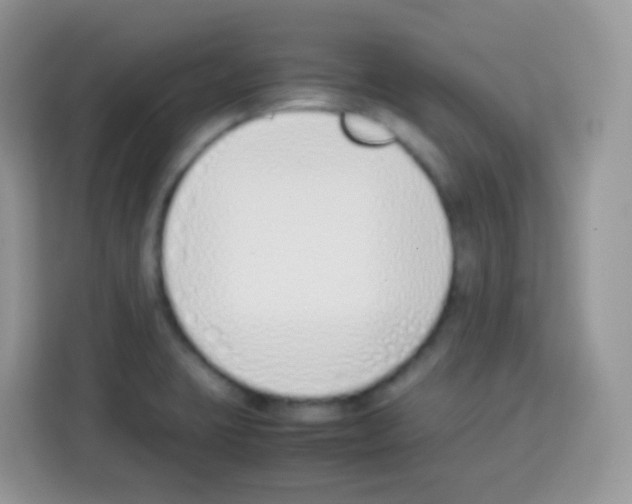 X0000113031423200910081211