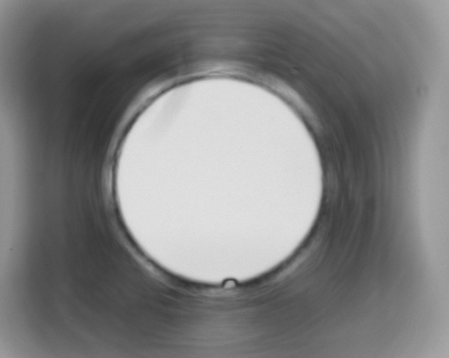 X0000113031424200910081211