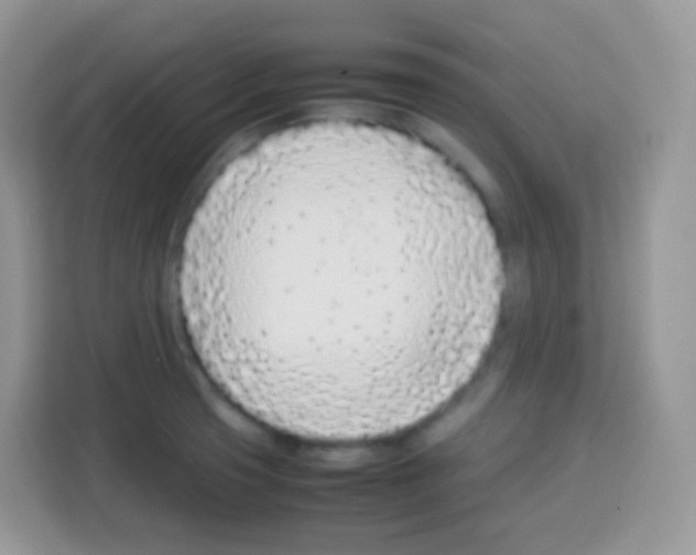 X0000113031425200910081211