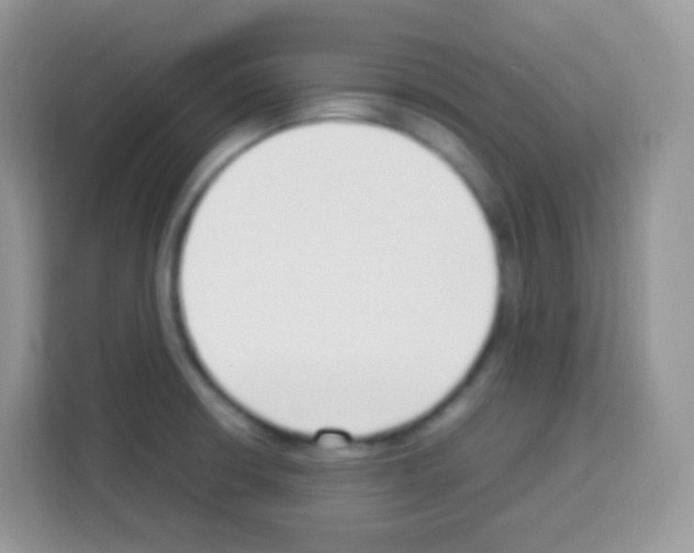 X0000113031426200910081211