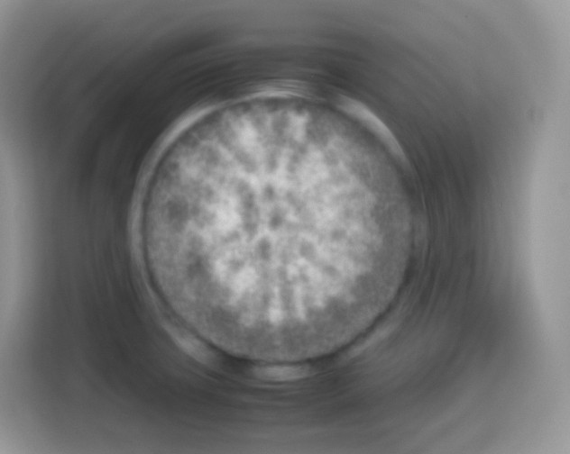 X0000113031427200910081211