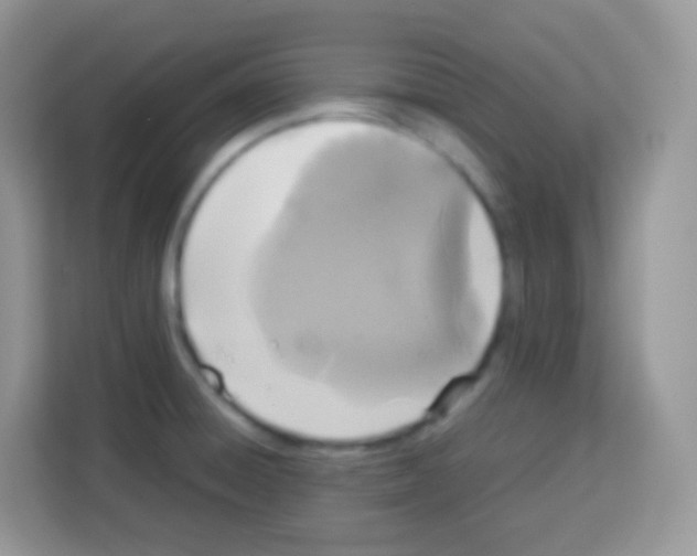 X0000113031428200910081211