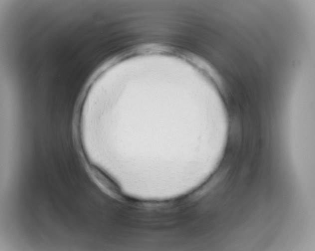 X0000113031429200910081211