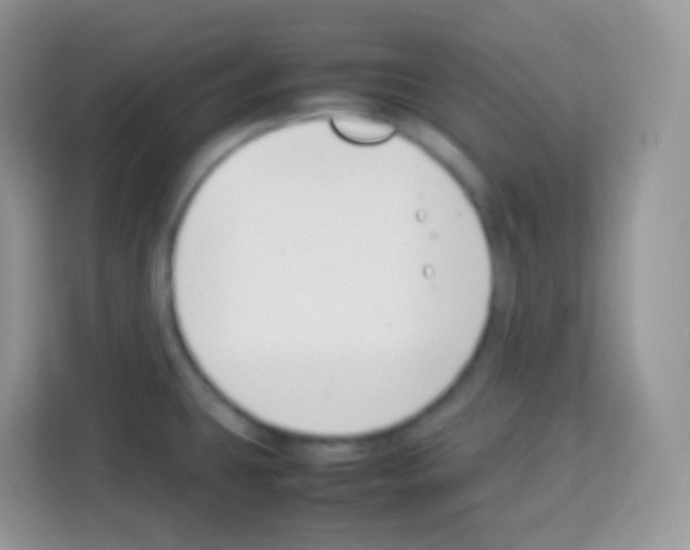 X0000113031431200910081211