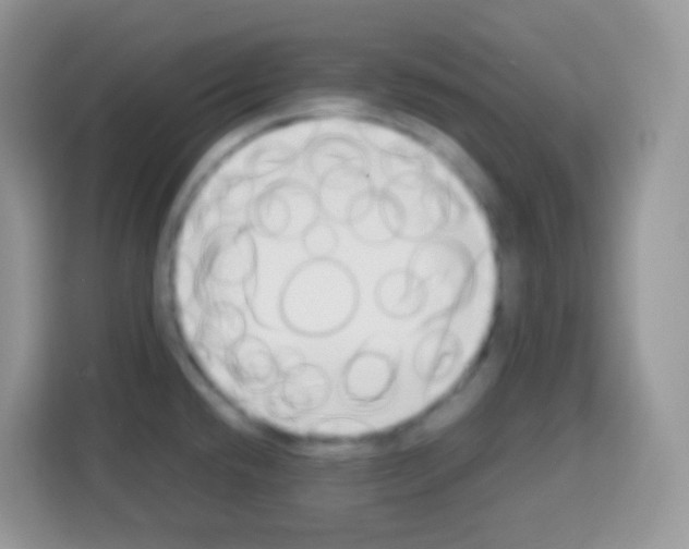 X0000113031432200910081211