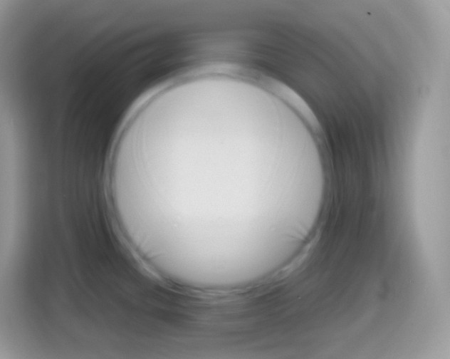 X0000113031436200910081211