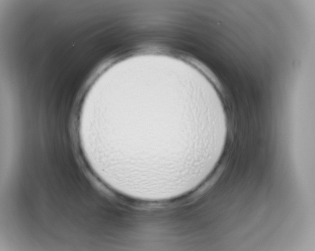 X0000113031438200910081211