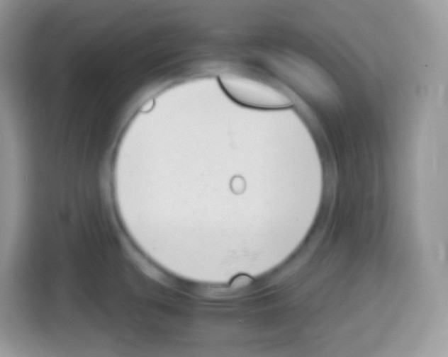 X0000113031439200910081211