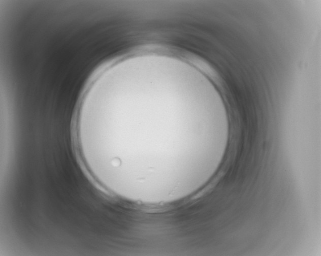 X0000113031440200910081211