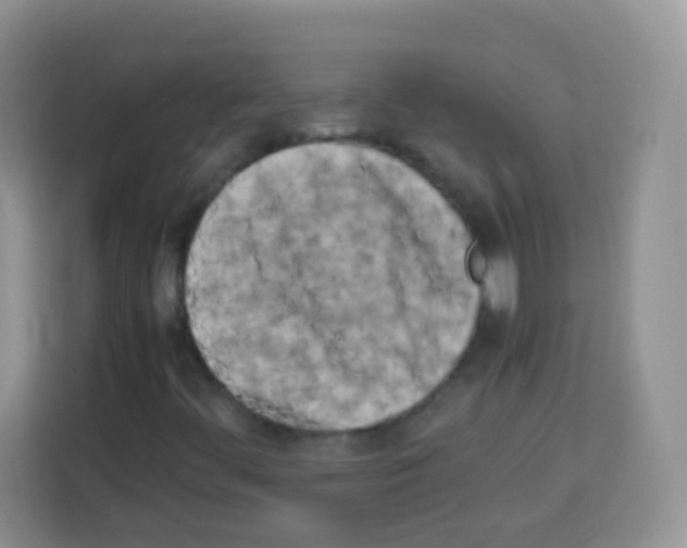 X0000113031444200910081210