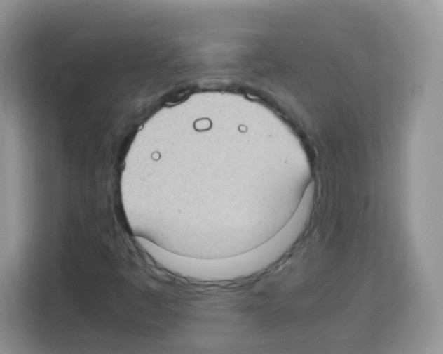 X0000113031445200910081210